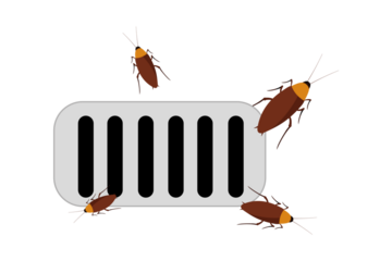 drain. wallpaper. free space for text. copy space. cockroach