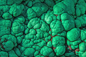 Sample of the raw green malachite mineral - obrazy, fototapety, plakaty