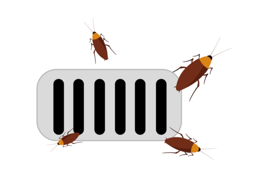 drain. wallpaper. free space for text. copy space. cockroach