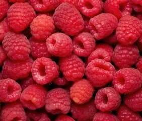 fruit banner from the harvest of ripe organic raspberries