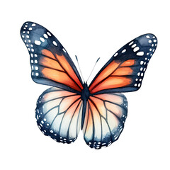 Fototapeta na wymiar Watercolor Butterfly Clipart Illustration. Isolated elements on a white background.