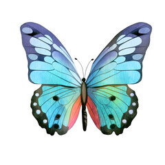 Watercolor Butterfly Clipart Illustration. Isolated elements on a white background.