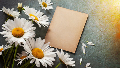 Greeting or invitation card and daisy flowers