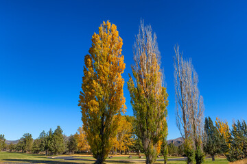 Autumn at Peter Skene Ogden Park in eastern Oregon, USA