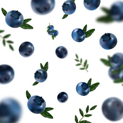 Scattered Blueberries with Leaves Vector