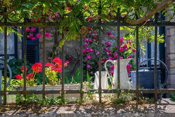 Fototapeta na wymiar Arrosoir dans un jardin fleuri au printemps.
