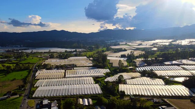Video a&eacute;reo realizado con drone, sobre &aacute;rea rural del Municipio de la Ceja, desde el Cerro El Capiro. Se observan en el video los cultivos de flores en invernaderos y el casco urbano del Municipio