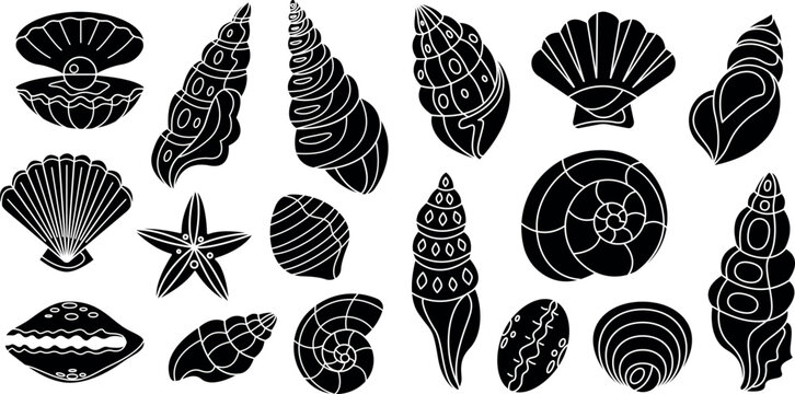 Seashell silhouette set. isolated vector on white background