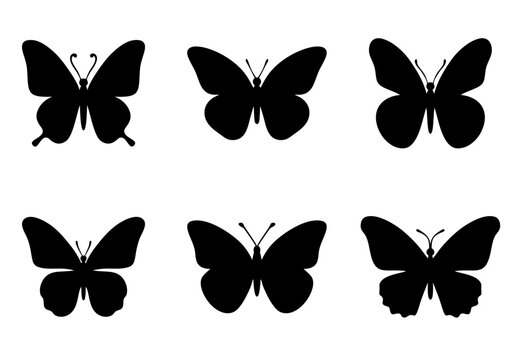 Silhouette of butterfly. Set of butterflies of different shapes. Vector illustration