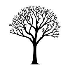 Fototapeta premium Tree without leaves black silhouette. Black branch tree or naked tree. Forest and garden symbol. Dried tree vector illustration