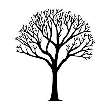 Tree without leaves black silhouette. Black branch tree or naked tree. Forest and garden symbol. Dried tree vector illustration