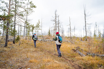 Spending time together in nature, people traveling through forest areas, hiking in the mountains with backpacks, vacationing together.