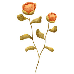 wild flowers isolated on white background