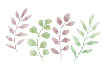 watercolor leaves illustration set - green leaf branches collection for wedding, greetings, stationary, wallpapers, fashion, background. olive, green leaves, Eucalyptus etc