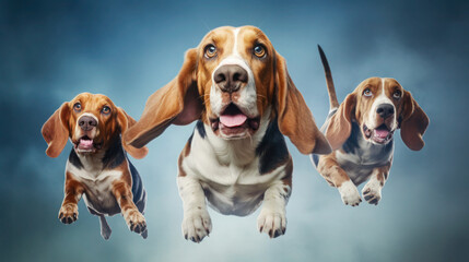 photo of 3 cute Basset Hound dogs, jumping to catch treats flying in the air, on an isolated vibrant background.