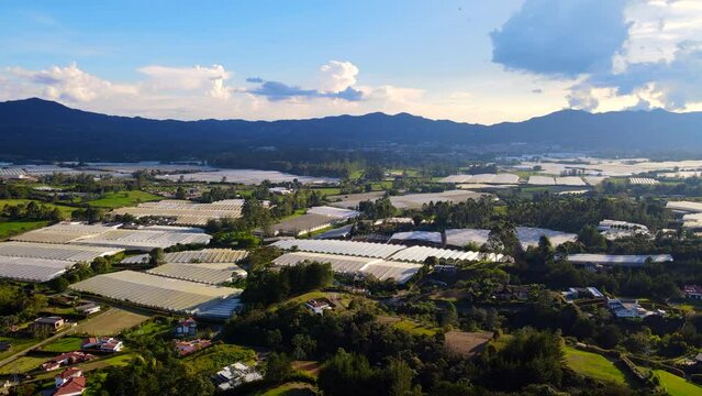 Video a&eacute;reo realizado con drone, sobre &aacute;rea rural del Municipio de la Ceja, desde el Cerro El Capiro. Se observan en el video los cultivos de flores en invernaderos y el casco urbano del Municipio
