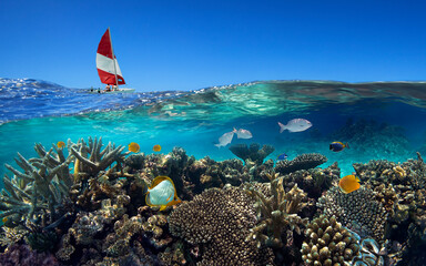 Sailing boat and coral reef in the Maldives