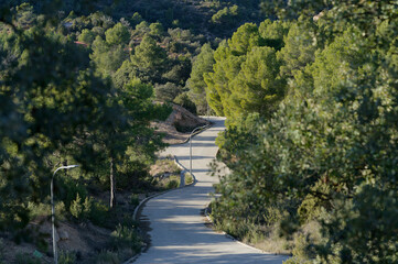Fototapeta premium road in the mountains