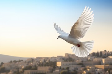 Obraz premium Spirit of god background banner panorama - White dove with wings wide open in the blue sky air with clouds and sunbeams
