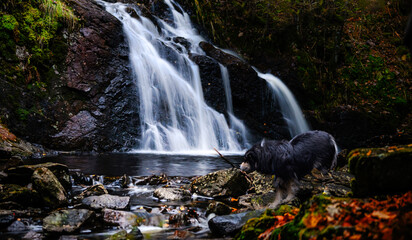 Waterfall in autumn colours with a dog