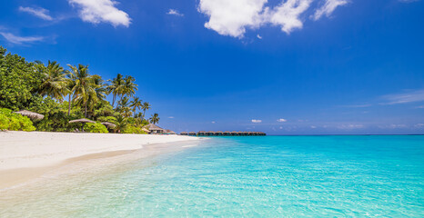 Amazing nature beach. Stunning sea coast palm trees sunny moody sky. Summer vacation travel holiday background. Maldives paradise destination. Luxury popular travel summer holiday landscape seascape