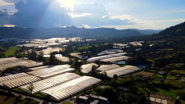 Video a&eacute;reo realizado con drone, sobre &aacute;rea rural del Municipio de la Ceja, desde el Cerro El Capiro. Se observan en el video los cultivos de flores en invernaderos y el casco urbano del Municipio