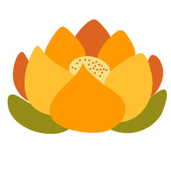 orange flower isolated on white