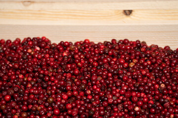 detail of ripe cranberries. Texture of many berries harvested at the market