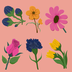 vector design of various kinds of blooming flowers