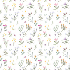 Watercolor seamless pattern with flowers on a white background. Botanical plants, flower garden, delicate shades of flowers, green leaves, petals, bouquet of flowers for design.