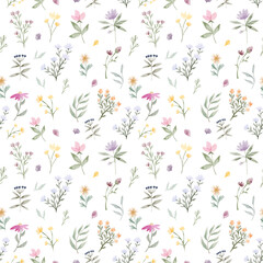 Watercolor seamless pattern with flowers on a white background. Botanical plants, flower garden, delicate shades of flowers, green leaves, petals, bouquet of flowers for design.