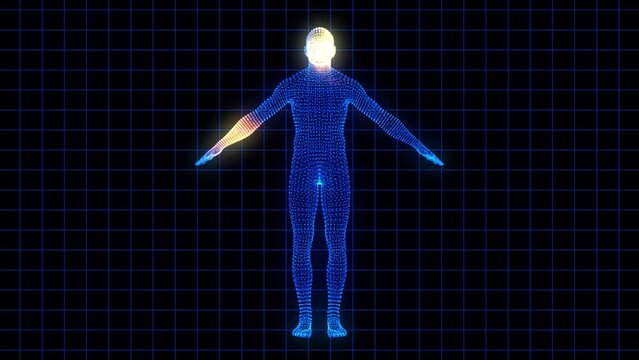 Animation of infrared scanning of a person on a computer