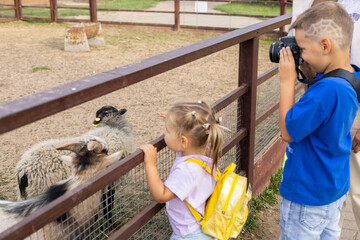 Children at the zoo watch goats and sheep in a pen. A child boy photographs small livestock, and a little girl watches goats and sheep with interest. Concept of children in a petting zoo.