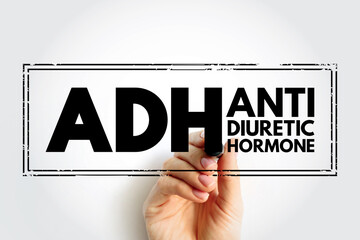 ADH Antidiuretic Hormone - nonapeptide synthesized in the hypothalamus, acronym text concept stamp - obrazy, fototapety, plakaty