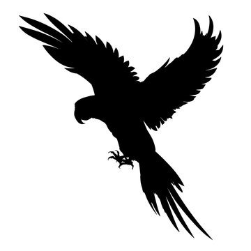 recommend clip art: Parrot silhouette - isolated - vector illustration