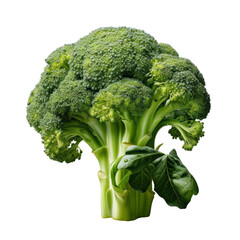 Broccoli isolated on transparent background