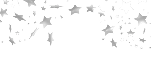 XMAS silver stars -