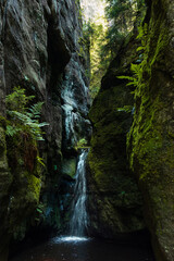 Small waterfall on moss covered black rocks, Adrspach rocks, Czech Republic