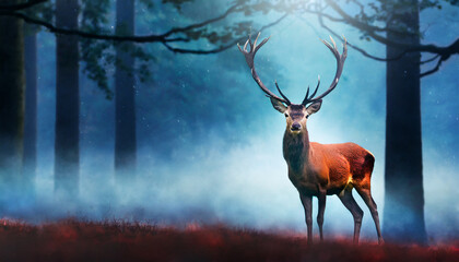 red deer stag in the misty night forest noble deer male banner with beautiful animal in the nature habitat wildlife scene from the wild nature landscape dark blue background