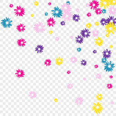 Colorful Garden Background Transparent Vector. Floral Style Texture. Multi-colored Leaf Vintage. Decoration Textile. Light Purple Flowers.