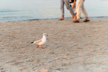 I'm not saying I'm better than them, but I can fly