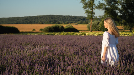 Portrait of a girl in a white summer dress walking through lavender fields, looking from the back to us, sunset. Lavender fields near Lviv, Ukraine. Blooming lavender in summer. Selective focus