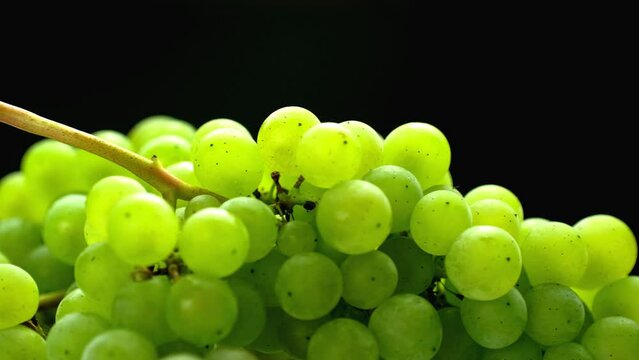 A bunch of ripe green grapes rotates on a black background. 4K 50fps.