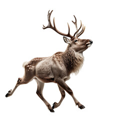 Reindeer Running, Jumping-  Generative AI - obrazy, fototapety, plakaty