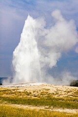 Fototapeta premium Vertical shot of the eruption of geyser Old Faithful in Yellowstone National Park.