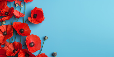 poppy flowers on a blue background. copy space. ai generative