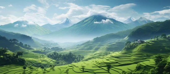 Zelfklevend Fotobehang Gras During the summer I took a trip to Thailand to explore the breathtaking landscape and immerse myself in the country s rich agricultural heritage captured by the vibrant green fields of rice 