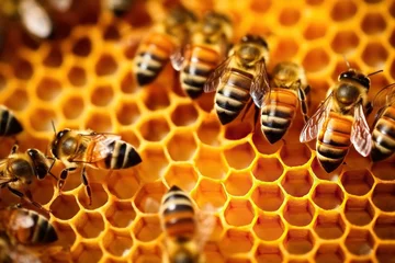 Foto op Plexiglas Working bee group works on honeycomb bringing honey on small paws. Hard-working bees bring honey filling honeycombs prepare stocks for winter to have food in cold. Hard work for large group of bees © Stavros