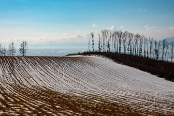 雪の十勝平野（北海道）