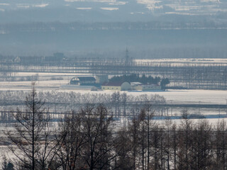 雪の十勝平野（北海道）